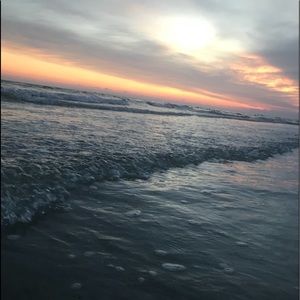 Meet your Posher, Lily